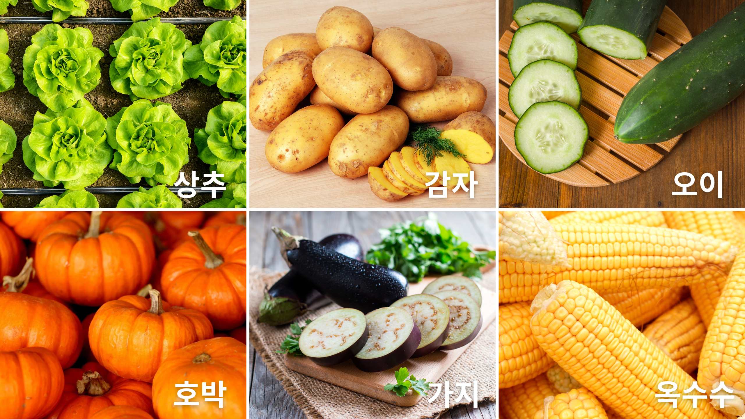 frutas e legumes em coreano