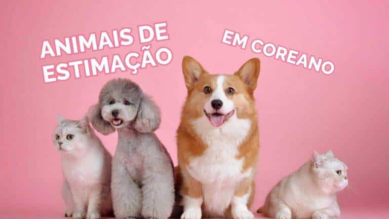 animais de estimação