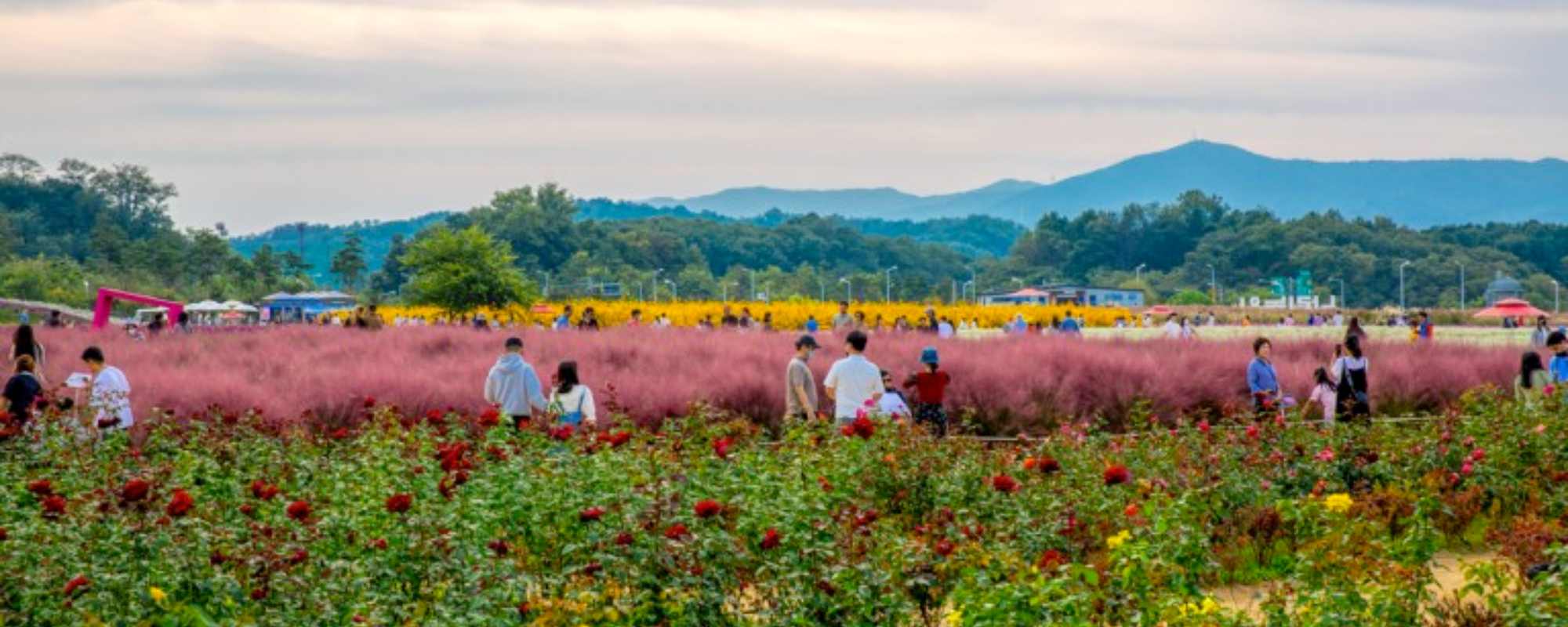 chuseok